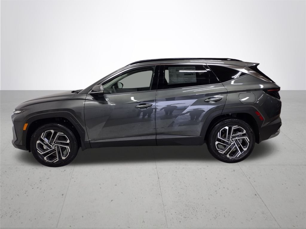 Used 2026 Gray Hyundai Limited image 10
