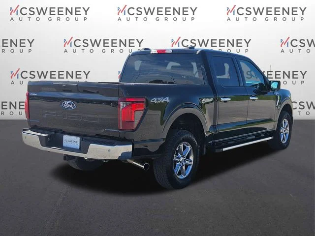 Used 2025 Black Ford XLT image 5