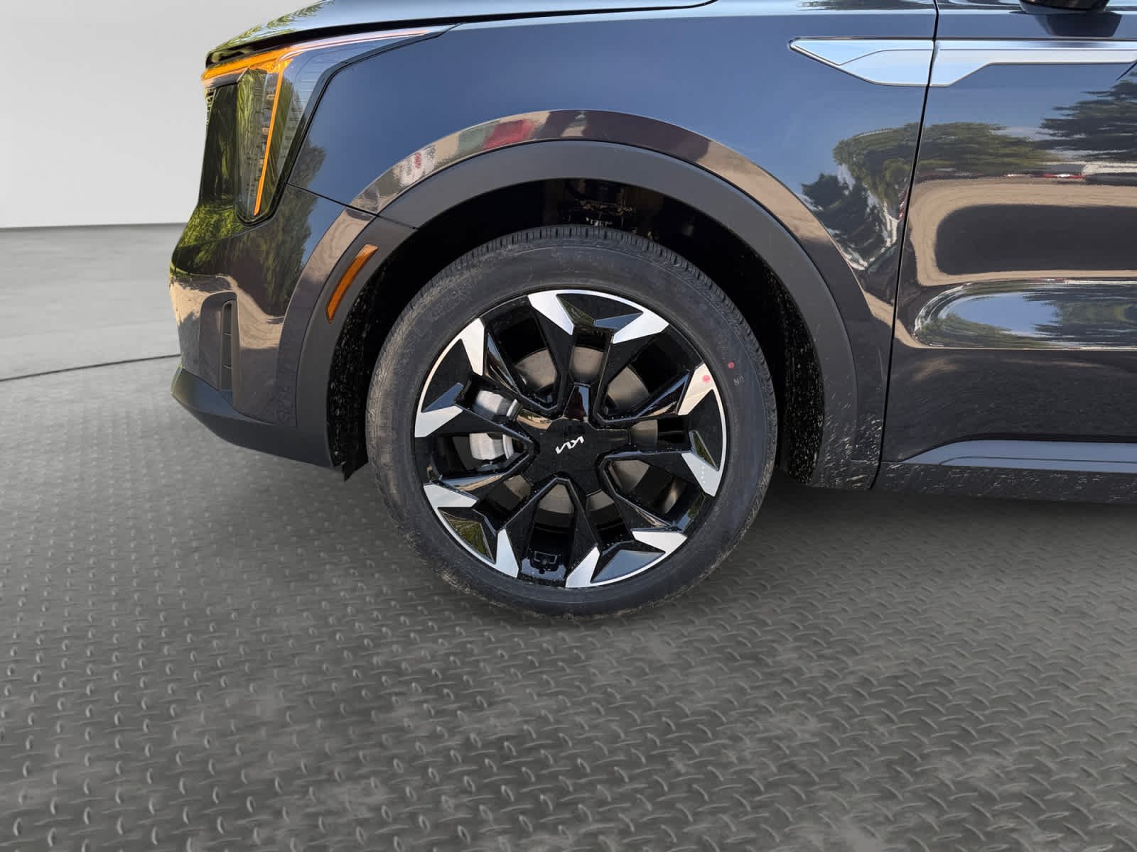 New 2026 Panthera Metal Kia EX image 9