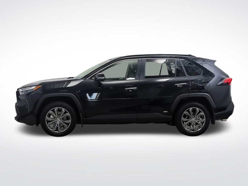 Used 2024 Toyota RAV4 Limited with VIN JTMD6RFV0RD125285 for sale in Minneapolis, Minnesota