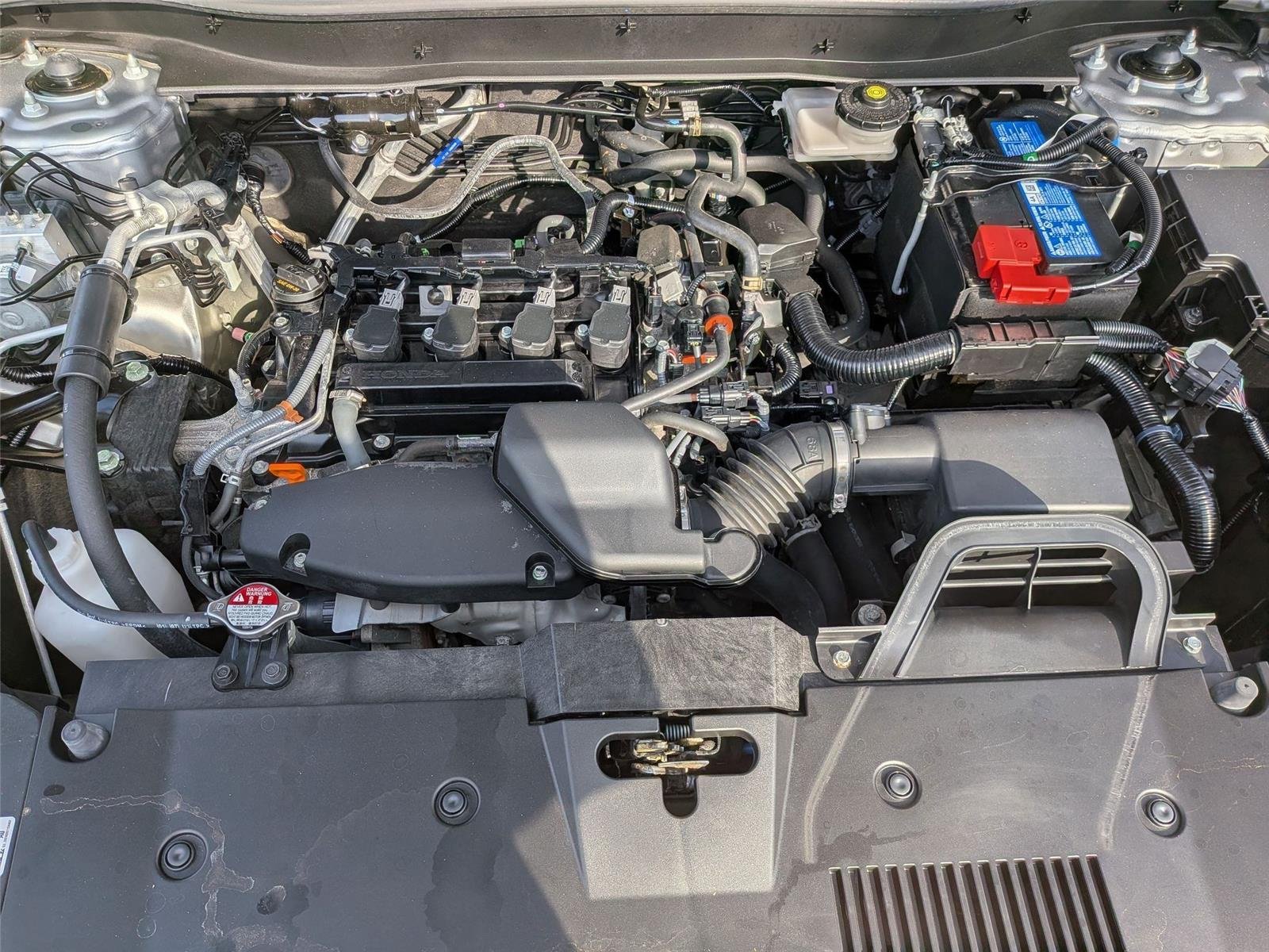 Used 2024 BLUE Honda EX image 38