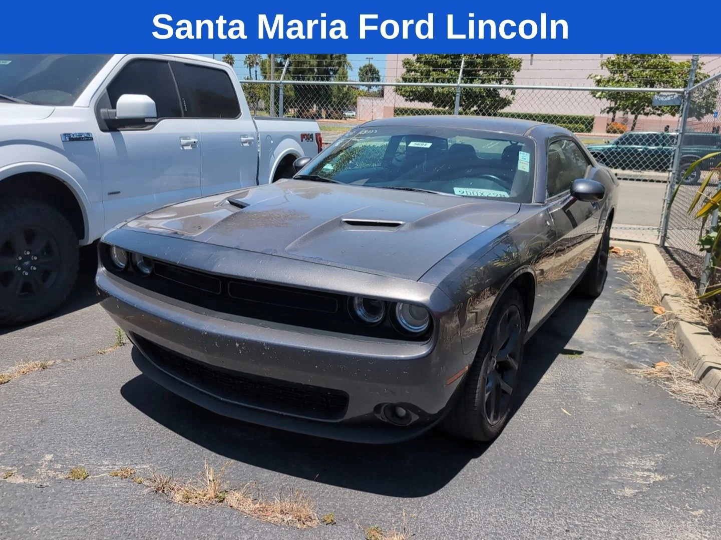 2019 Dodge Challenger SXT Auto's photo