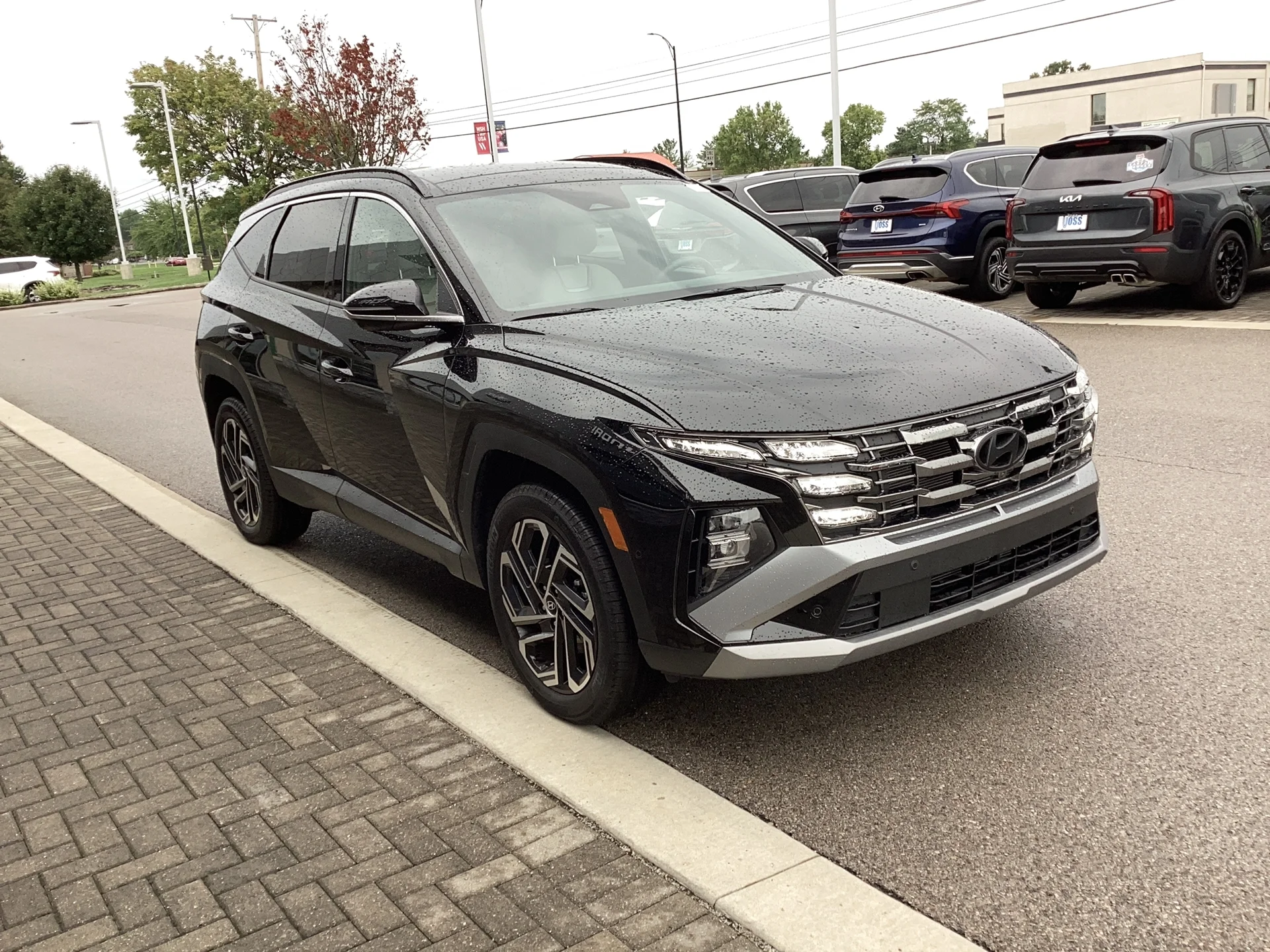 Certified Used 2026 Phantom Black Pearl Hyundai Limited image 1
