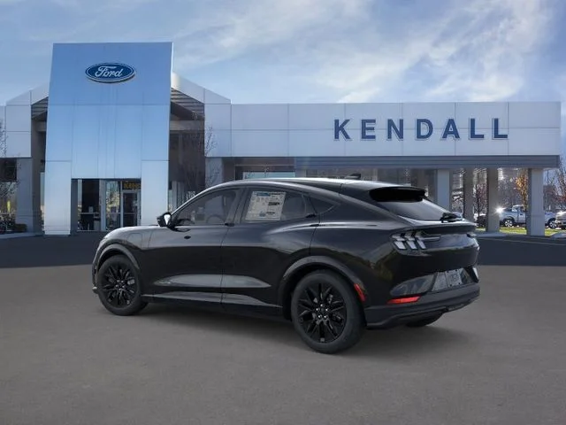 New 2026 Shadow Black Ford Premium image 4