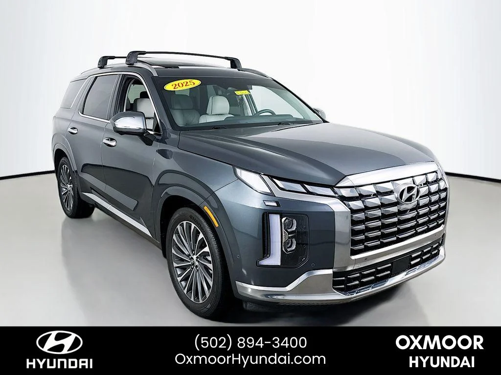 Used 2025 Steel Graphite Hyundai Calligraphy image 1