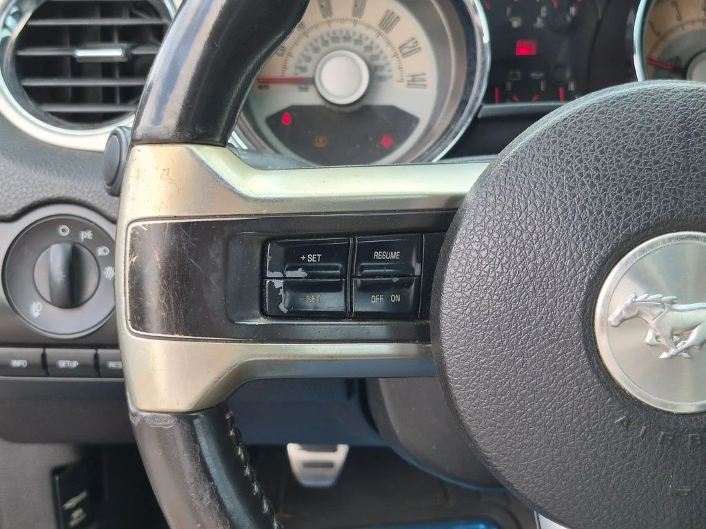 Used 2010  Ford GT Premium image 14