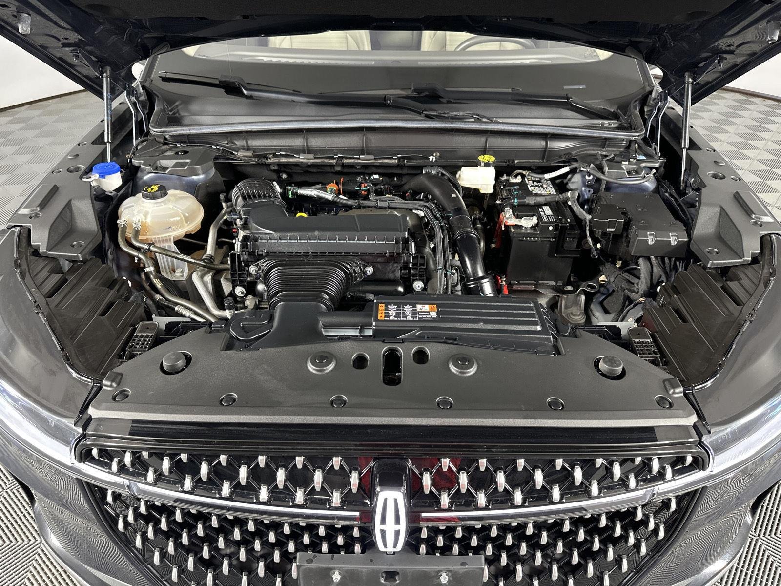 Used 2024 Blue Panther Lincoln Reserve image 3