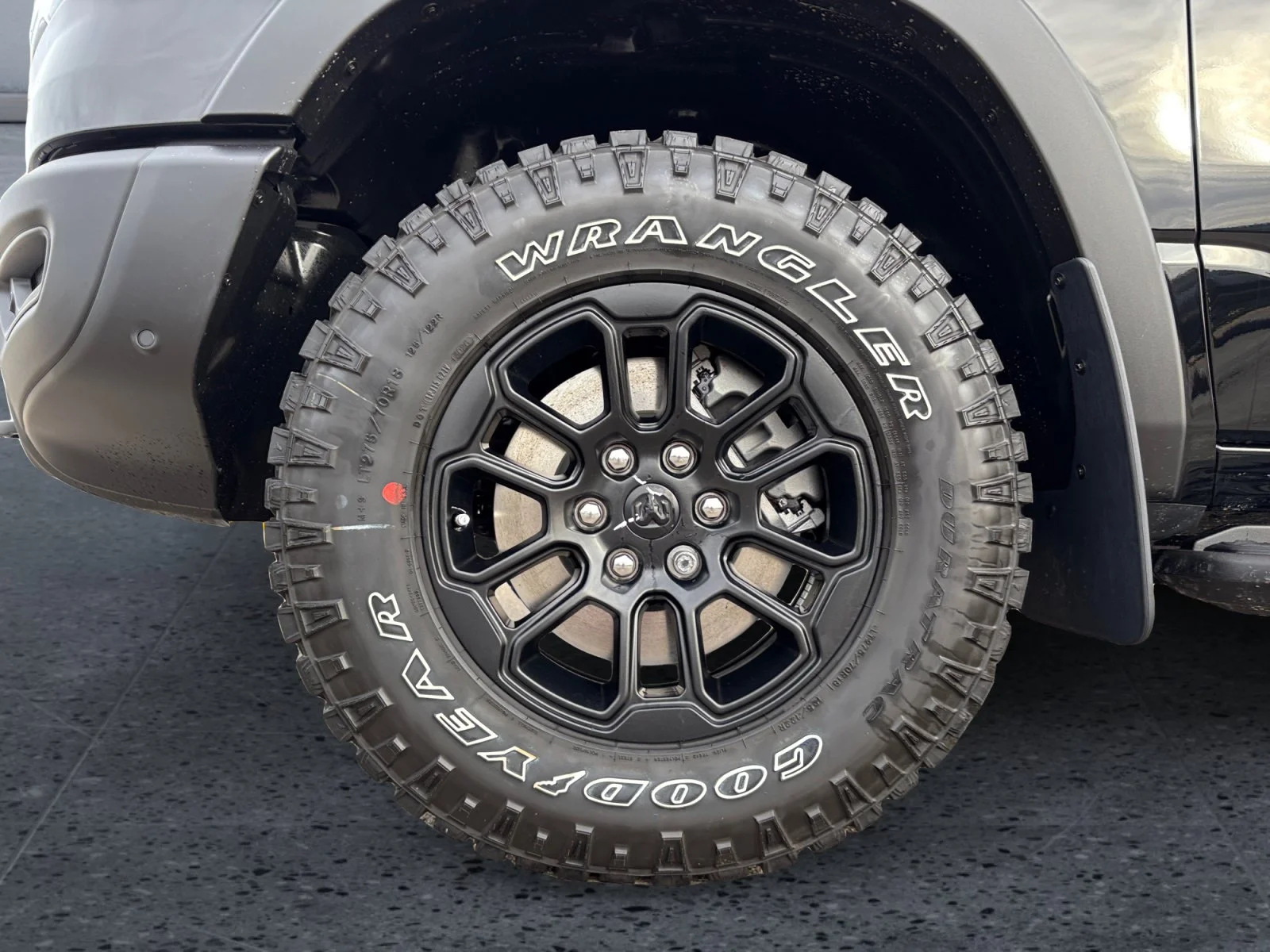 New 2027 Diamond Black Crystal Pearl Ram Rebel image 9