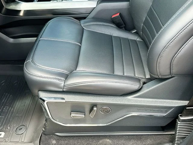 New 2026 Black Metallic Ford Platinum image 14