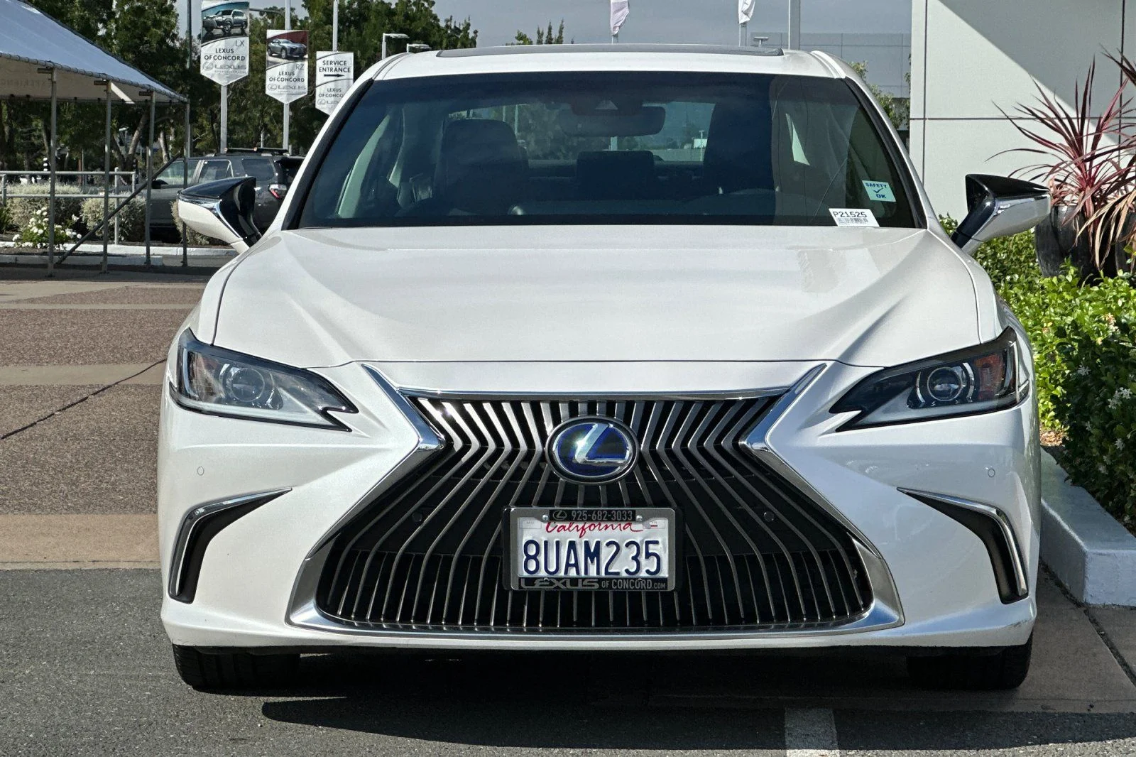 Used 2020 White Pearl Lexus 300h image 6