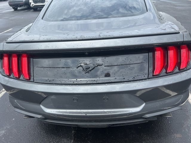 Used 2021 Gray Ford EcoBoost image 13