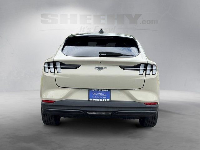 Used 2025 Beige Ford Premium image 10