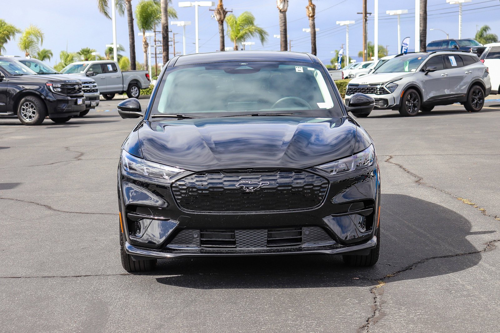 New 2026 Shadow Black Ford Premium image 2