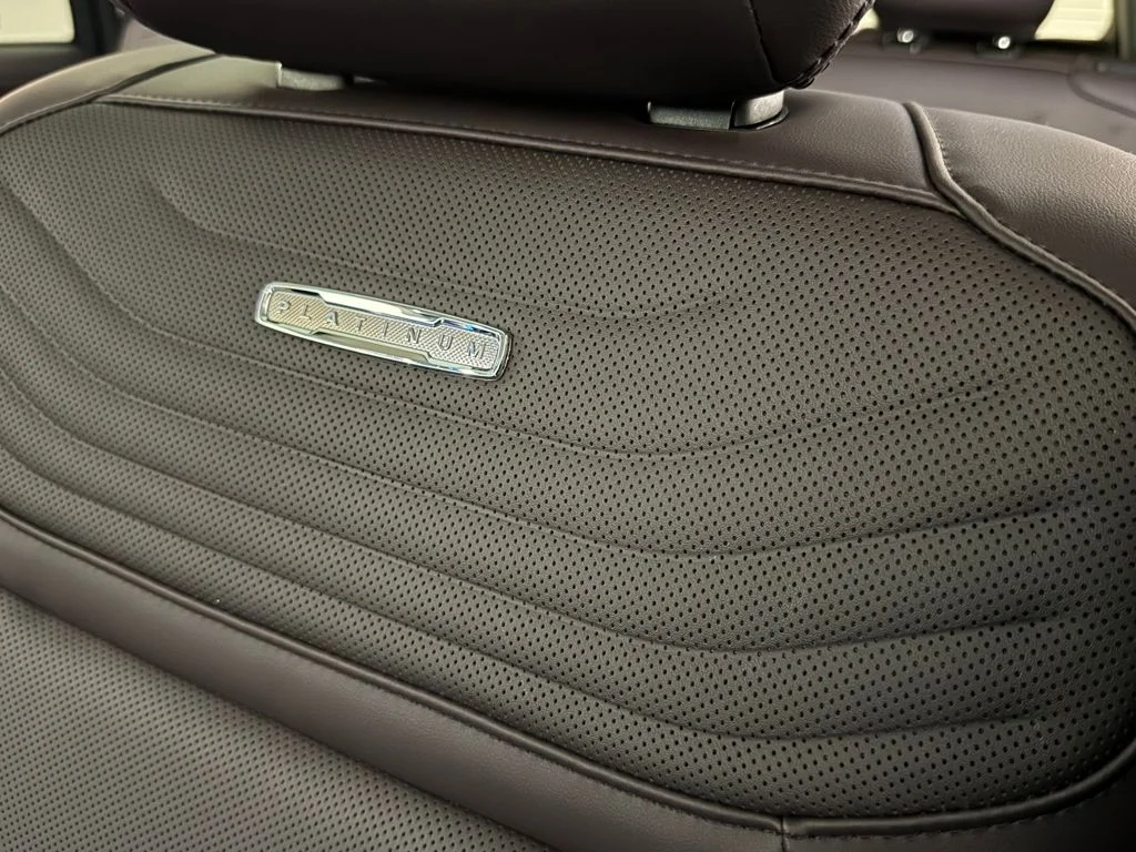 New 2026 Black Ford Platinum image 30