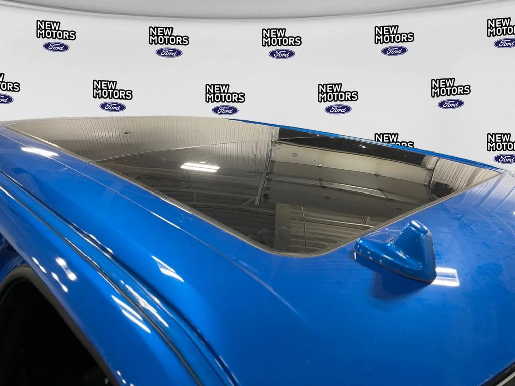 Used 2019 Blue Metallic Ford Raptor image 16