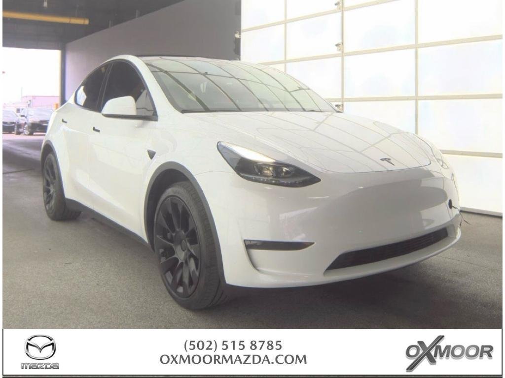 2024 Tesla Model Y's photo