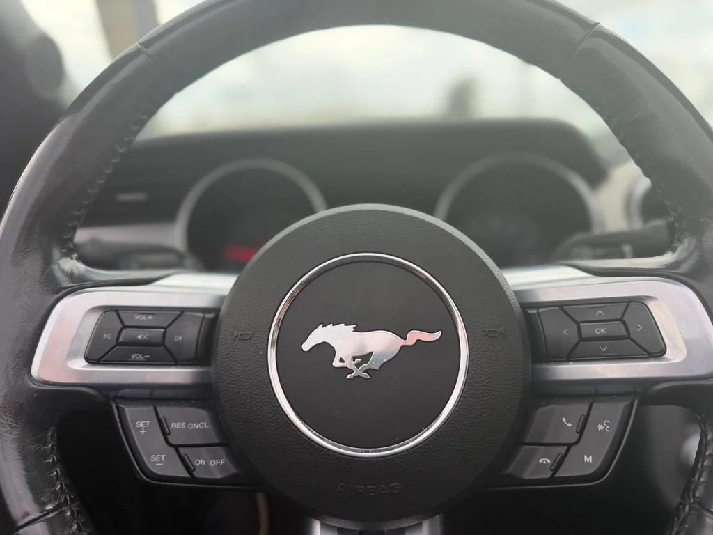 Used 2023 Black Ford EcoBoost Premium Convertible image 16