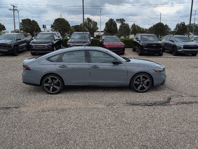 New 2026 Urban Gray Pearl Honda SE image 16
