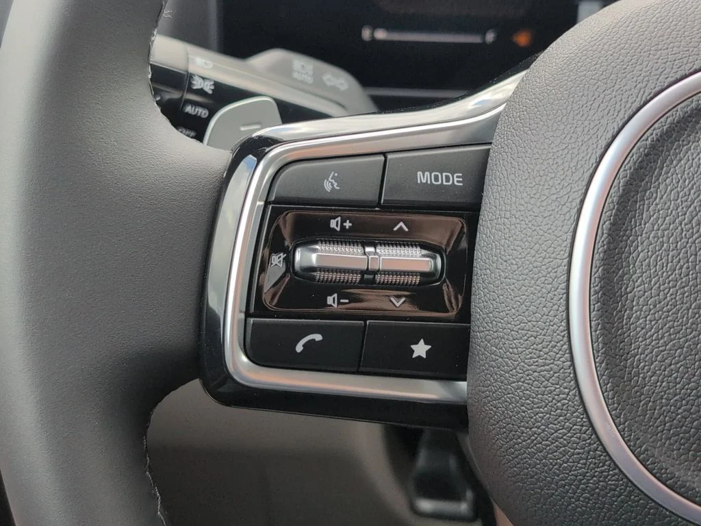 2025 Kia Carnival EX - Photo 24