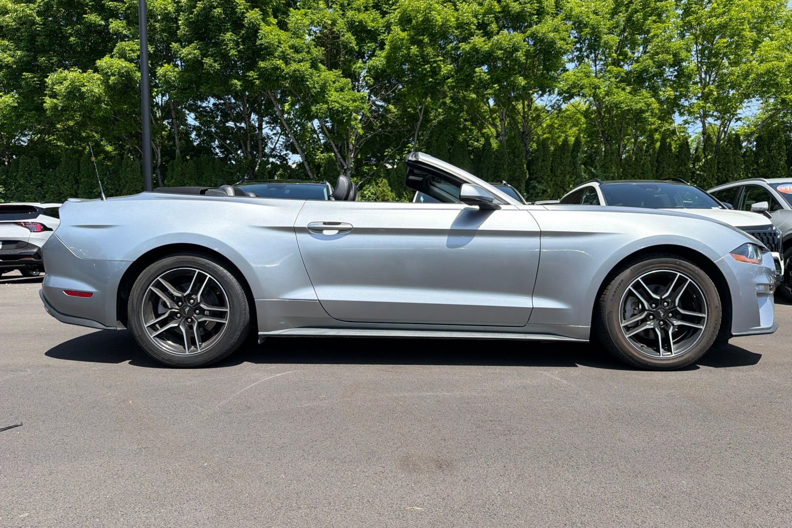 2023 Ford Mustang EcoBoost Premium - Photo 3