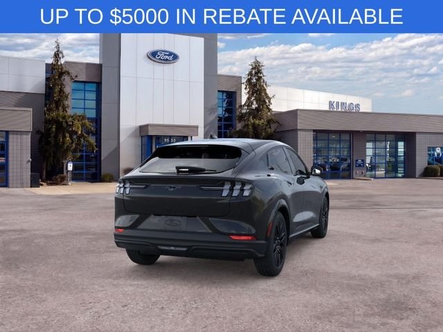 New 2026 Shadow Black Ford Premium image 8
