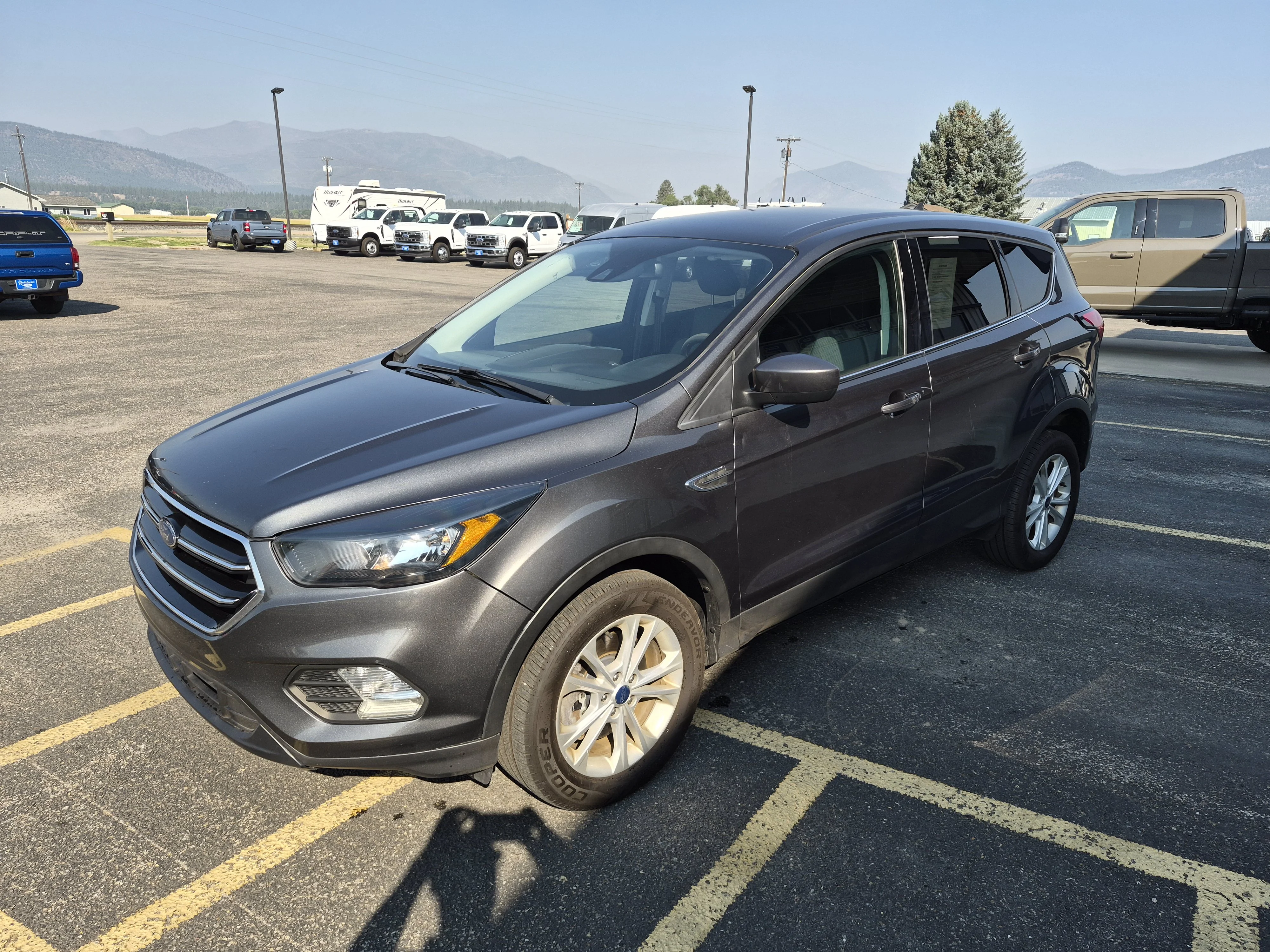 Used 2019 Dark Gray Ford SE image 9