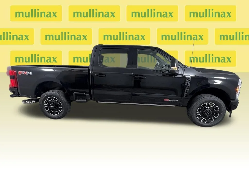 New 2026 Black Ford Platinum image 19