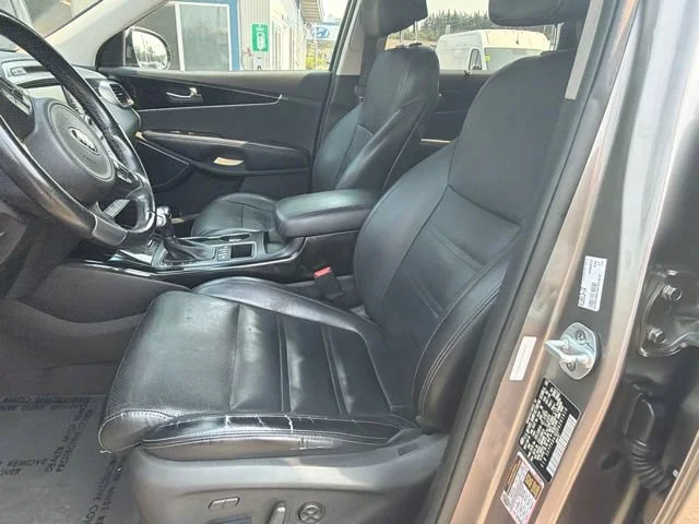 Used 2017 Titanium Silver Kia SX V6 image 20