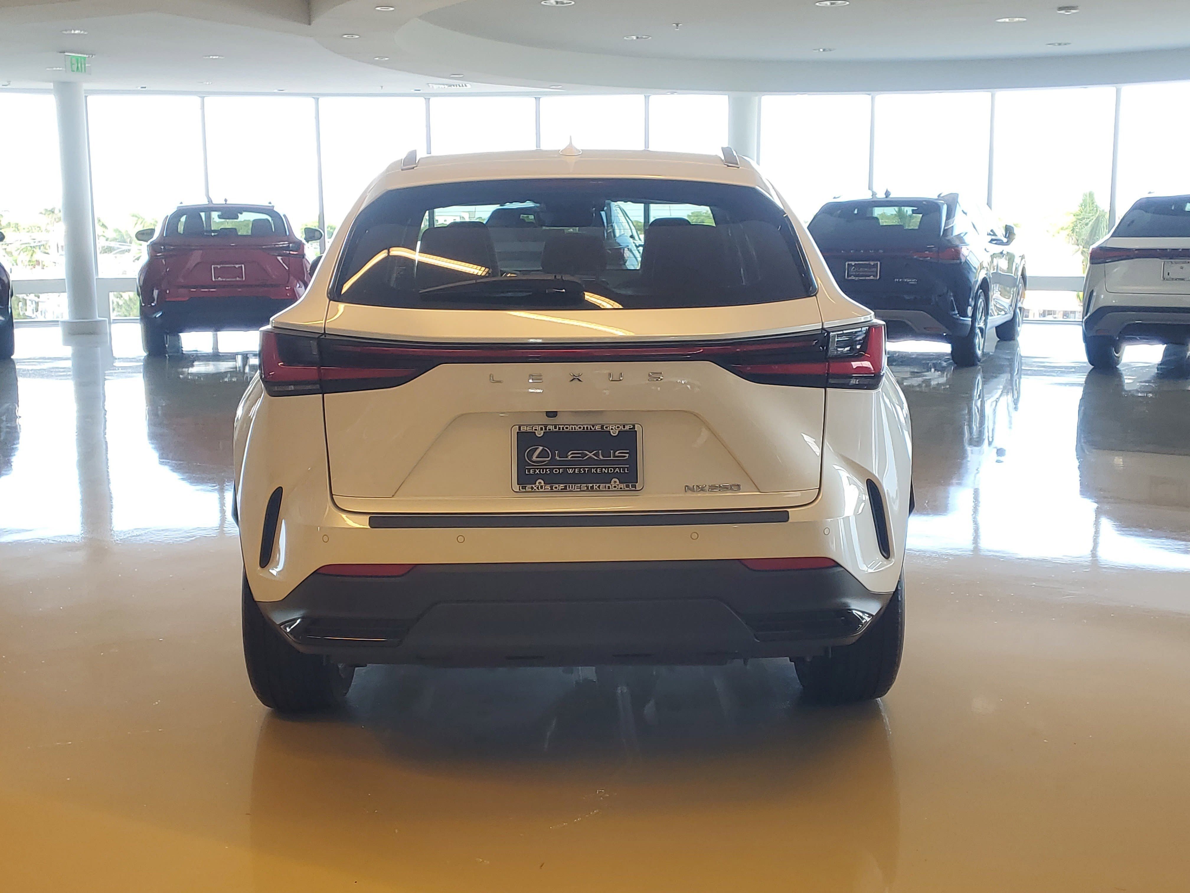 Used 2024 Eminent White Pearl Lexus NX 250 Premium image 10