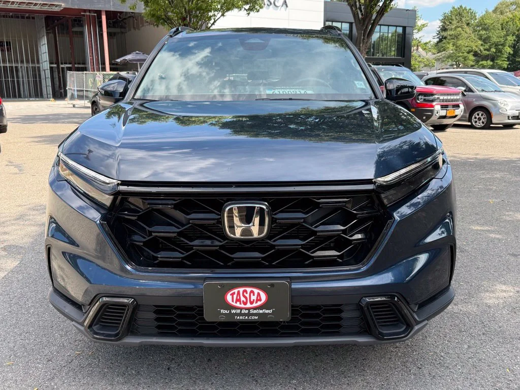 Used 2024 Blue Honda Sport image 3