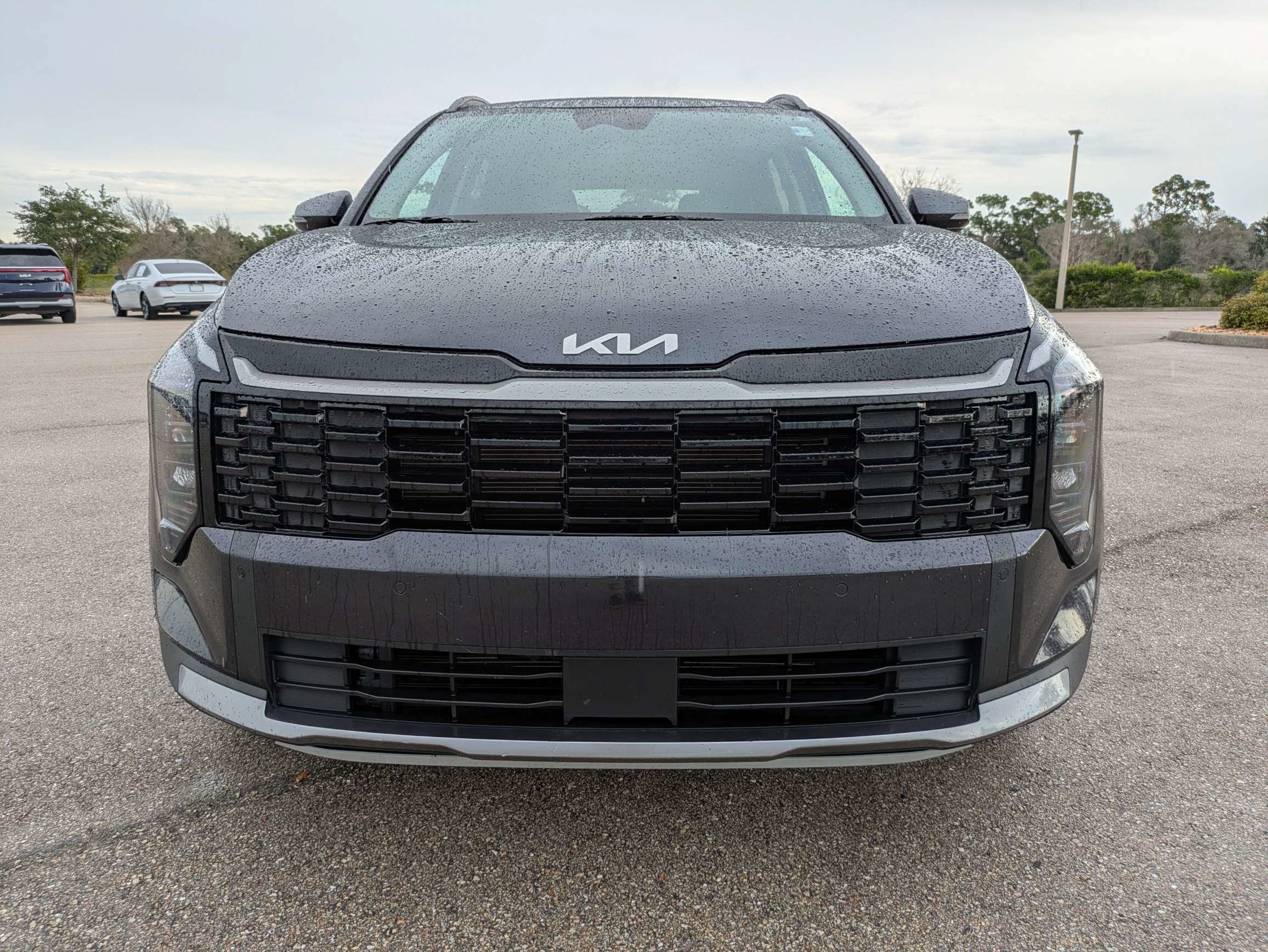 Used 2026 Panthera Metal Gray Kia EX image 9
