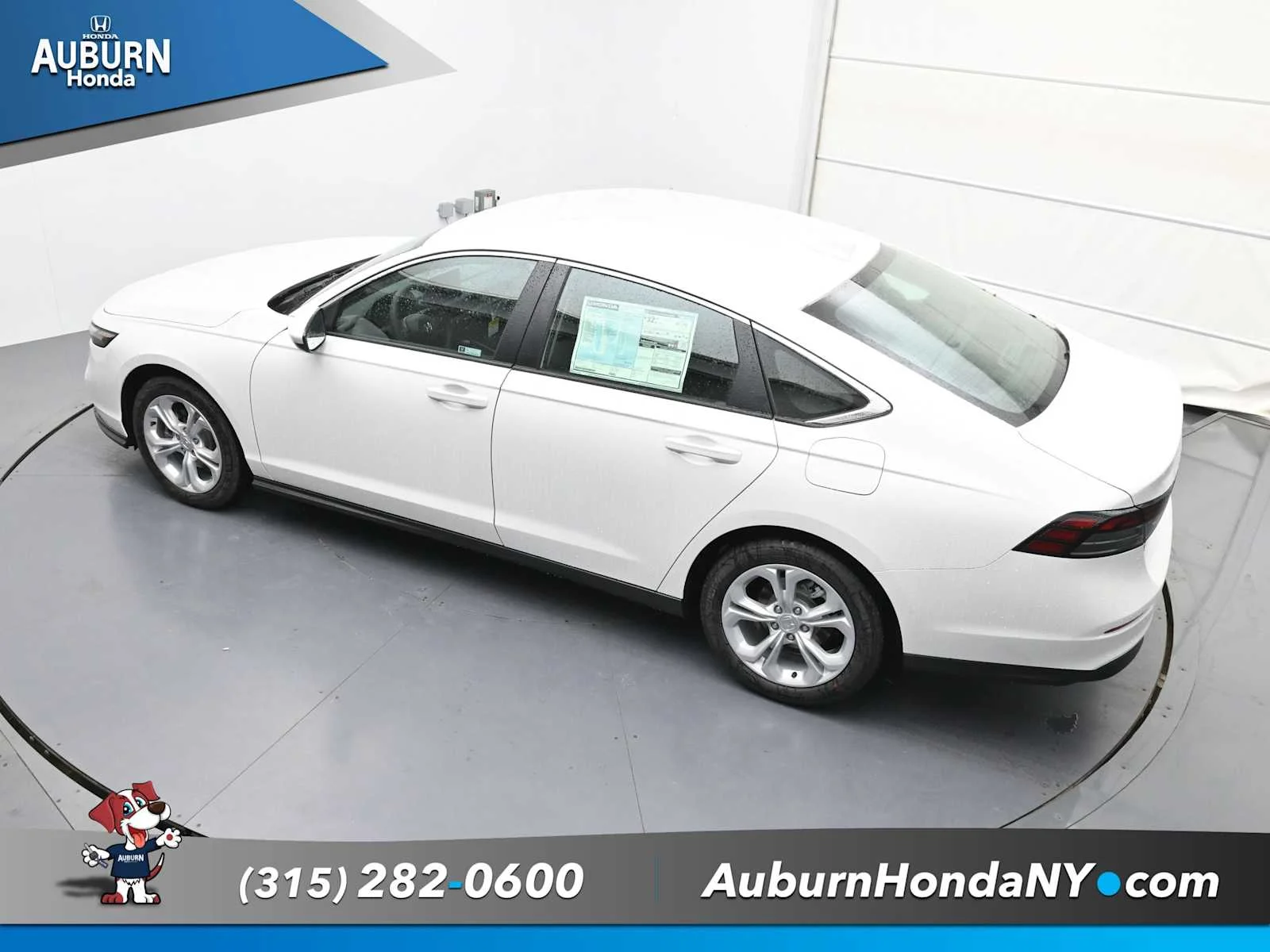 New 2025 Platinum White Pearl Honda LX image 27