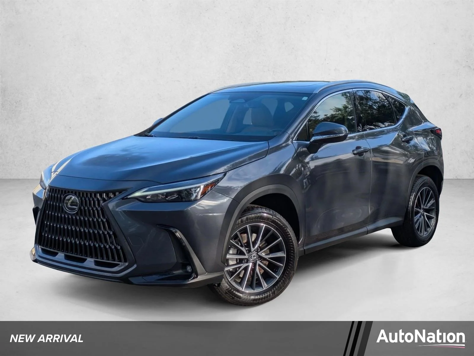 2025 Lexus NX 350 350 Premium AWD's photo