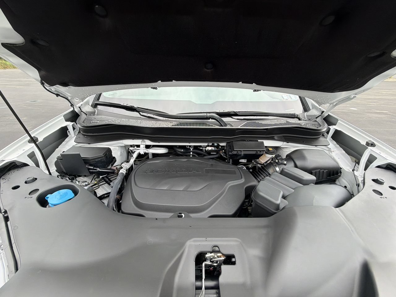 New 2026 Platinum White Pearl Honda RTL AWD image 28