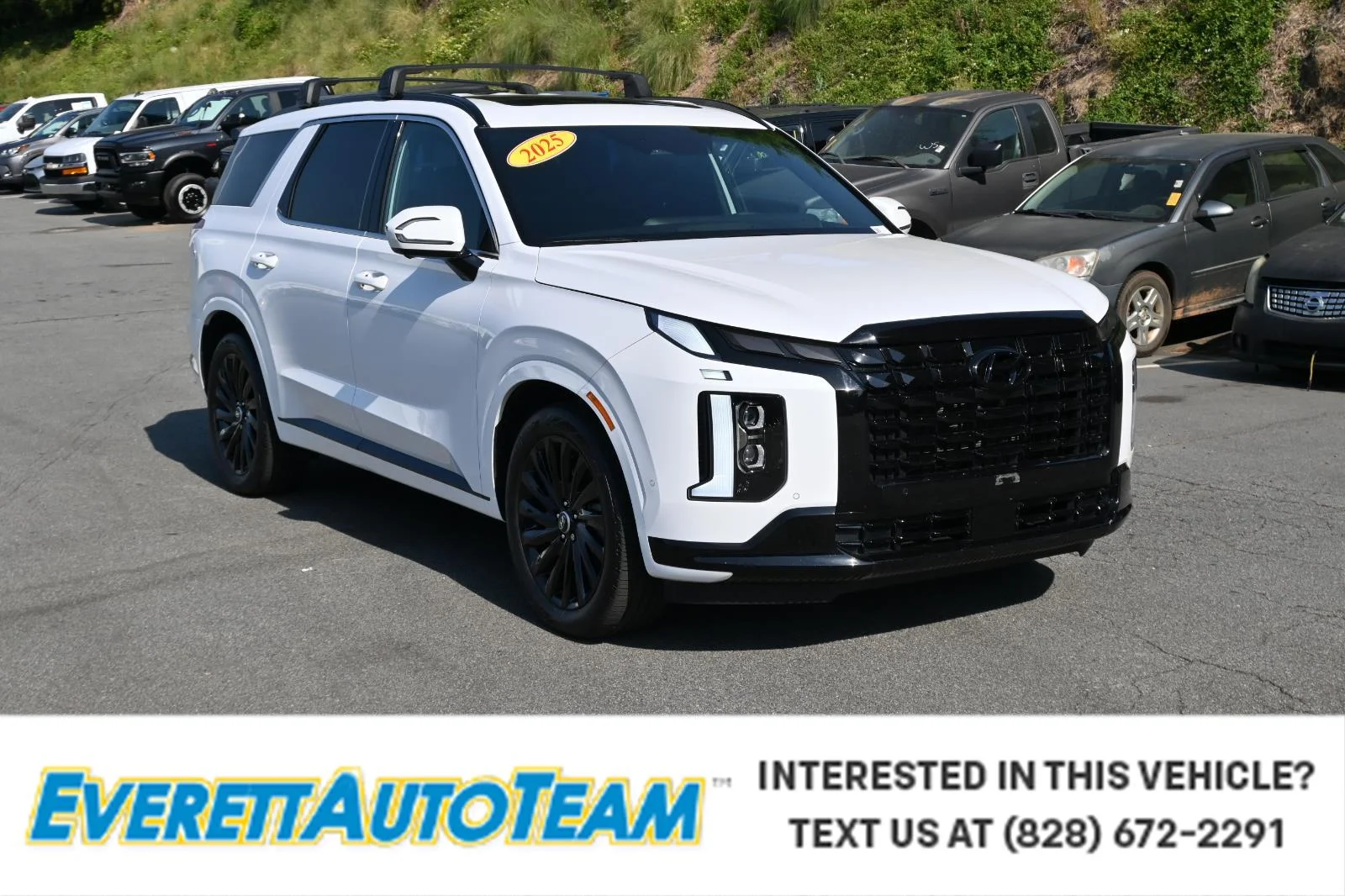 Used 2025 White Hyundai Calligraphy Night Edition image 1