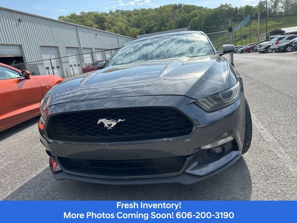 Used 2016 Ford Mustang EcoBoost with VIN 1FA6P8TH8G5313998 for sale in Morehead, KY