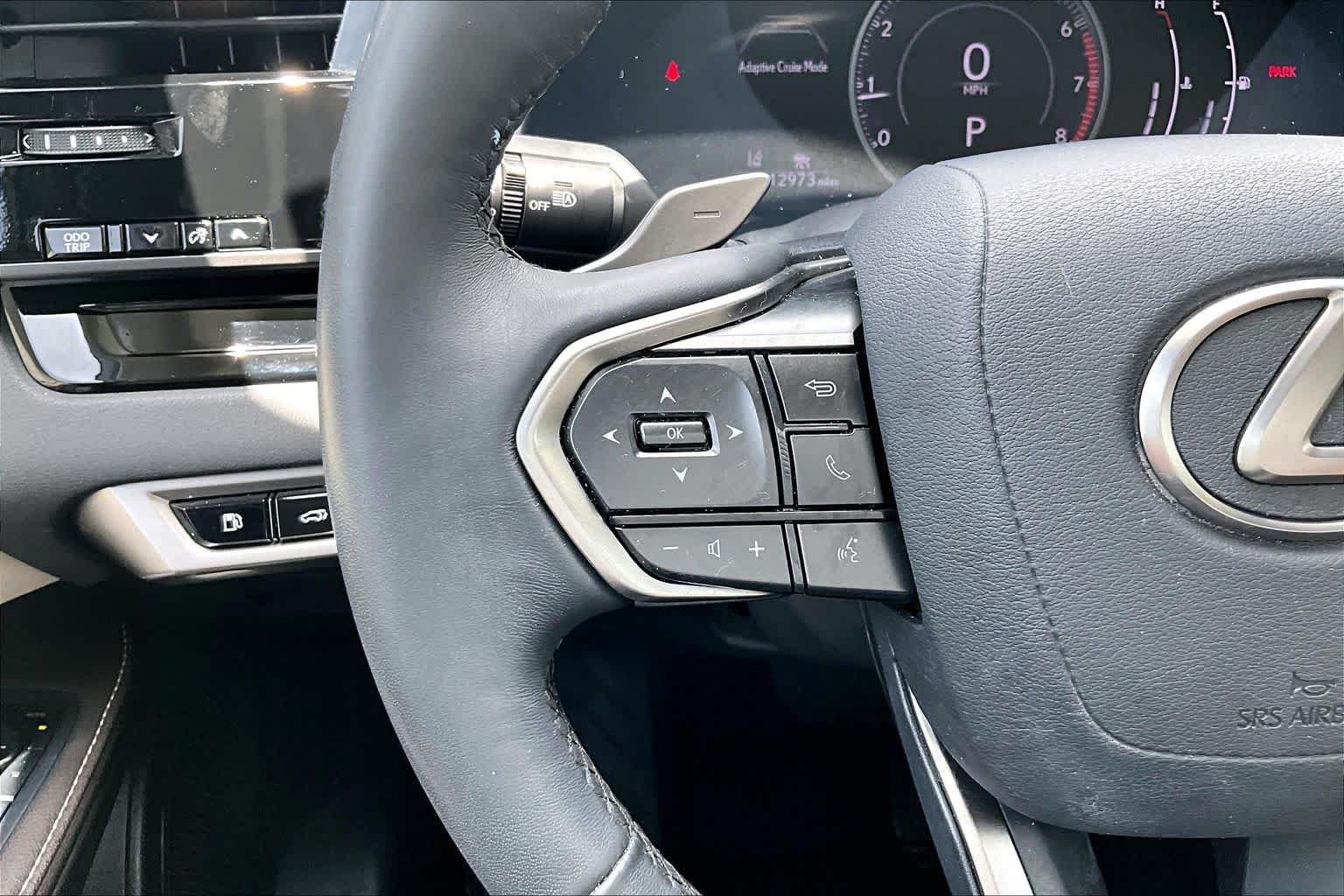 Used 2023 Iridium Lexus  image 22
