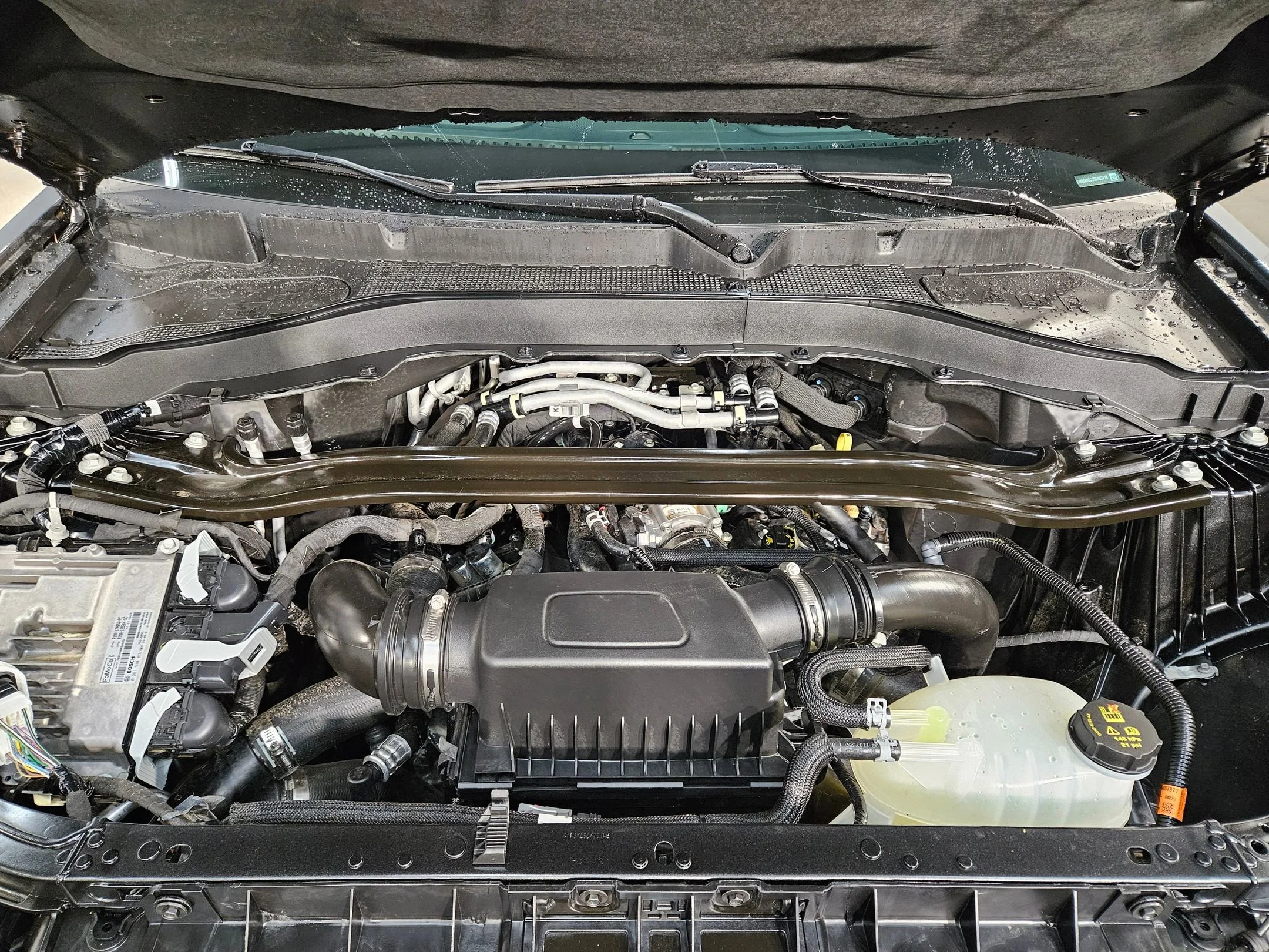 Used 2025 Carbonized Gray Metallic Ford ST image 19