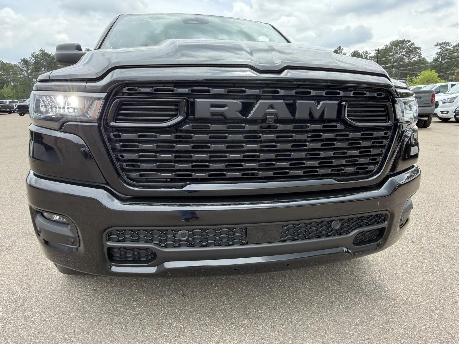 New 2026 Diamond Black Crystal Pearl-Coat Exterior Paint RAM Express image 23