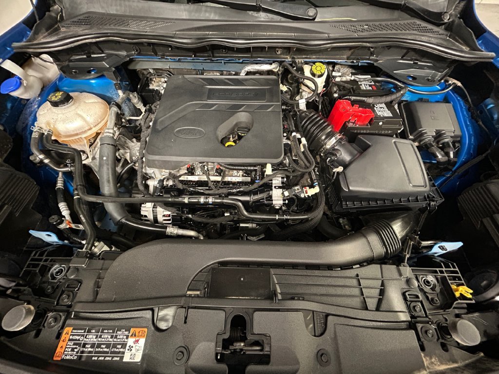 Used 2020 Blue Ford SEL image 19
