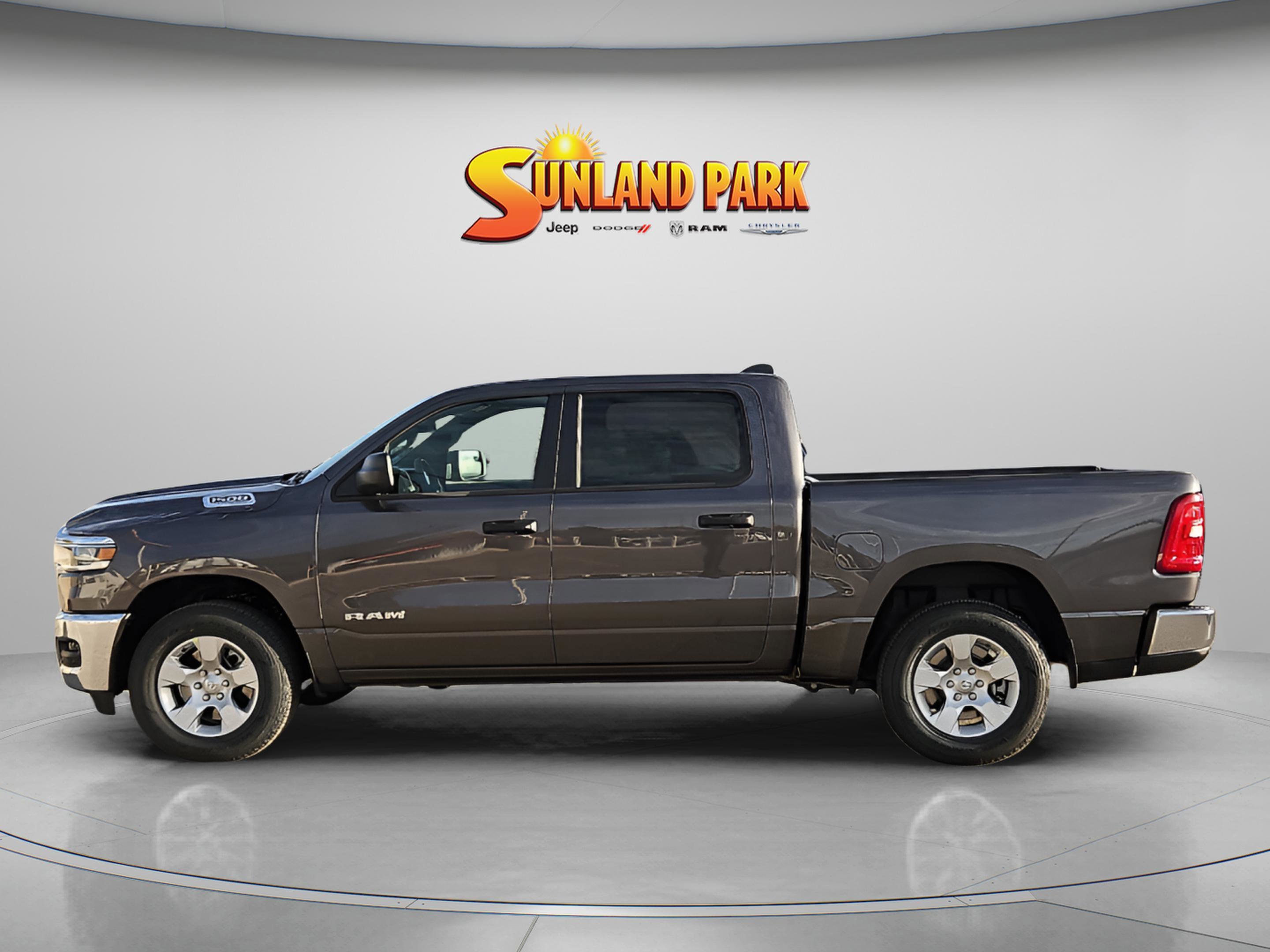 New 2026 Granite Crystal Metallic Clear-Coat Exterior Paint RAM Lone Star image 3