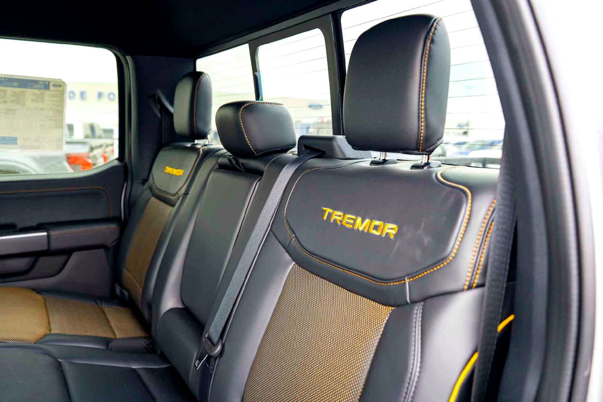 New 2025 Iconic Silver Metallic Ford Tremor image 18