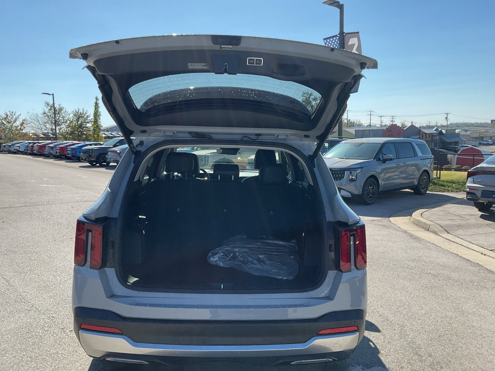 Used 2026 Wolf Gray Kia EX image 14