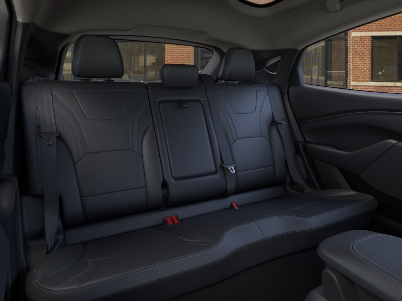 New 2026 Shadow Black Ford Premium image 11