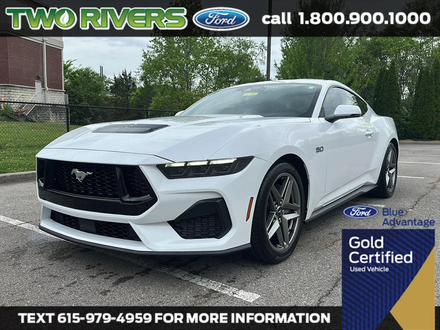 2025 Ford Mustang GT Premium Fastback's photo