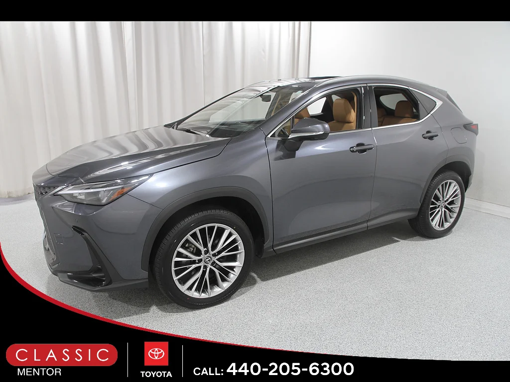 Used 2025 Cloudburst Gray Lexus Premium image 3