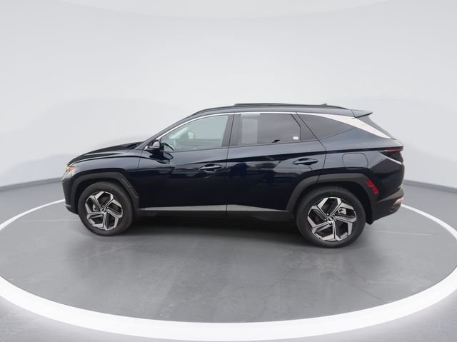 Used 2024 Blue Hyundai SEL Convenience image 5