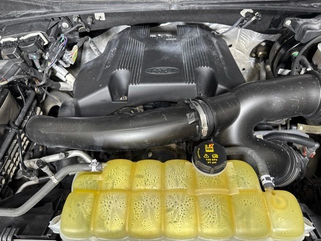 Used 2019 Magnetic Ford XLT image 9