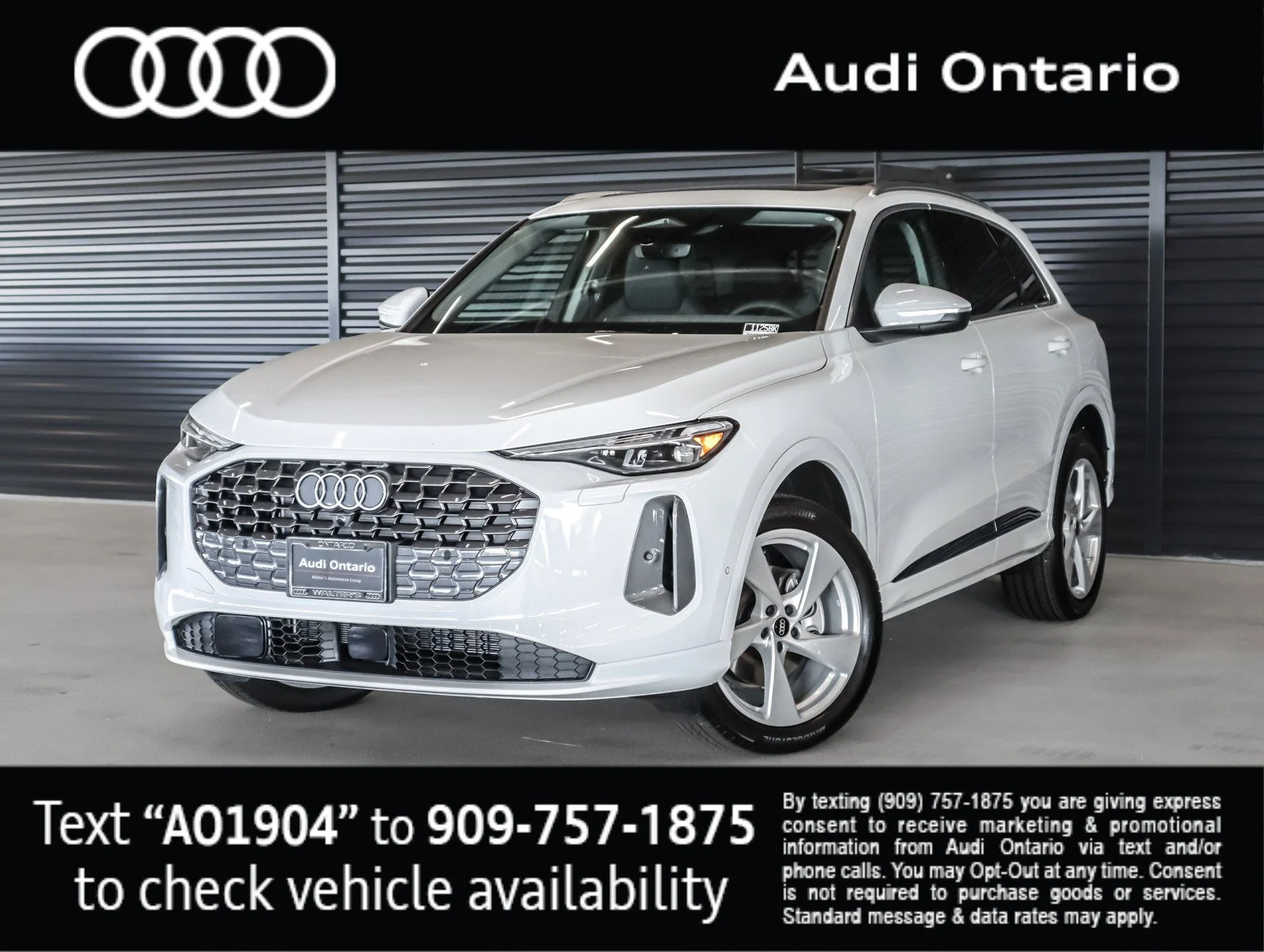 2025 Audi Q5 40 Premium Plus's photo