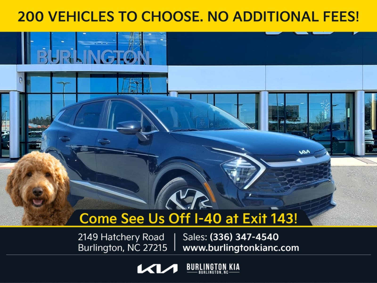 Certified Used 2024 Ebony Black Kia EX image 1